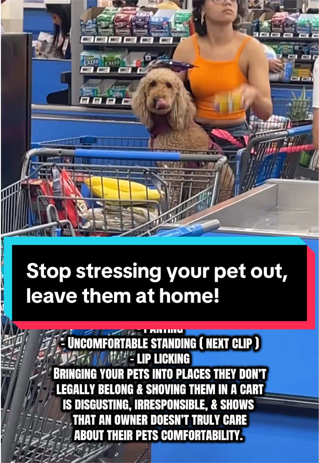 @Dakota & Pups