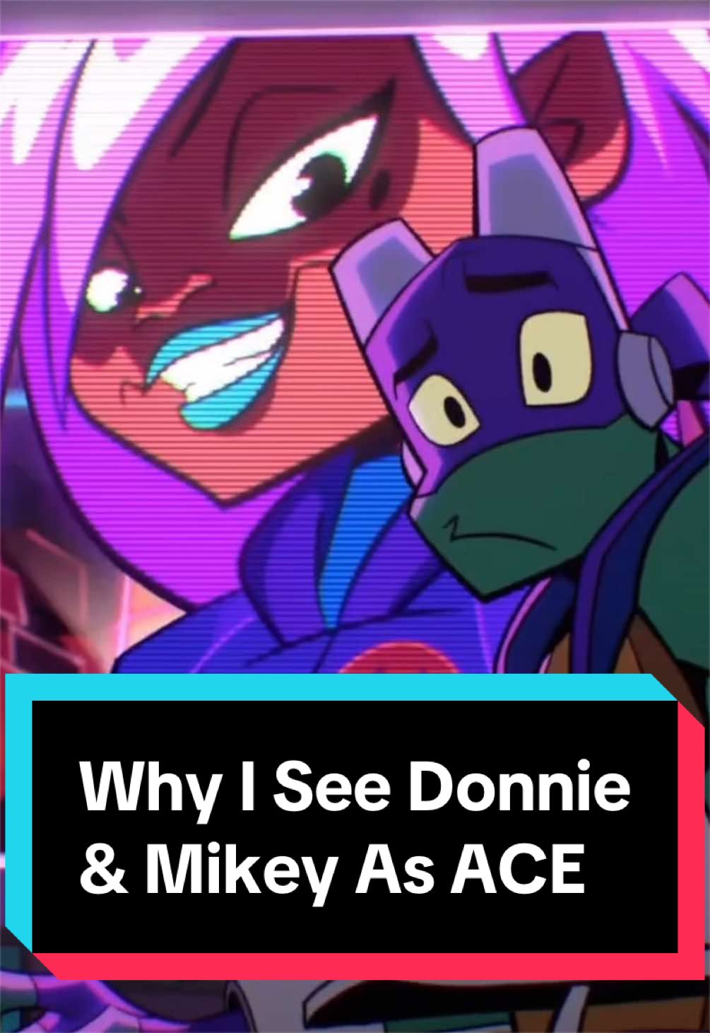@Torisaur 🐢🐞