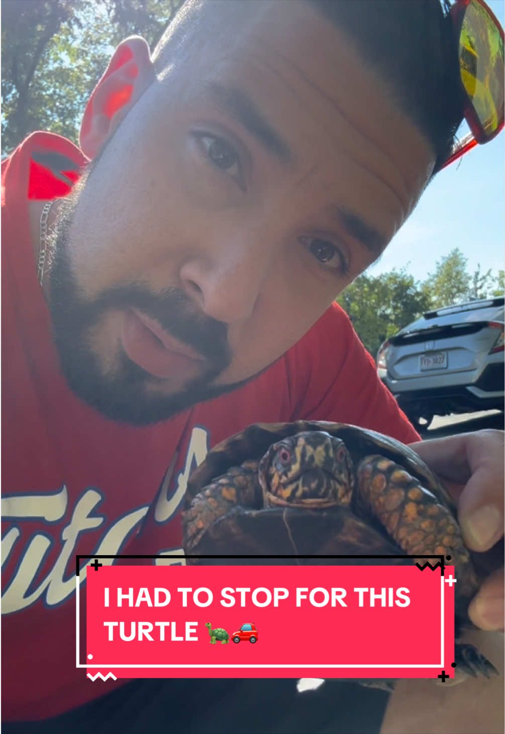 @Eastern Box Turtle