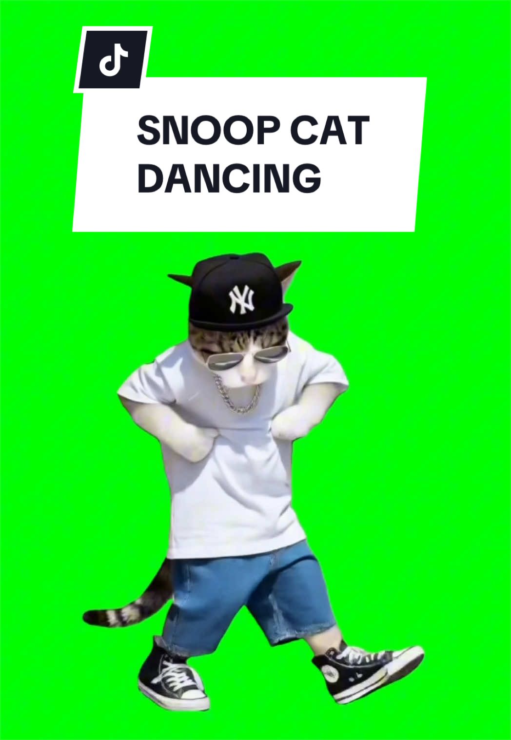 @SILLYBALOO