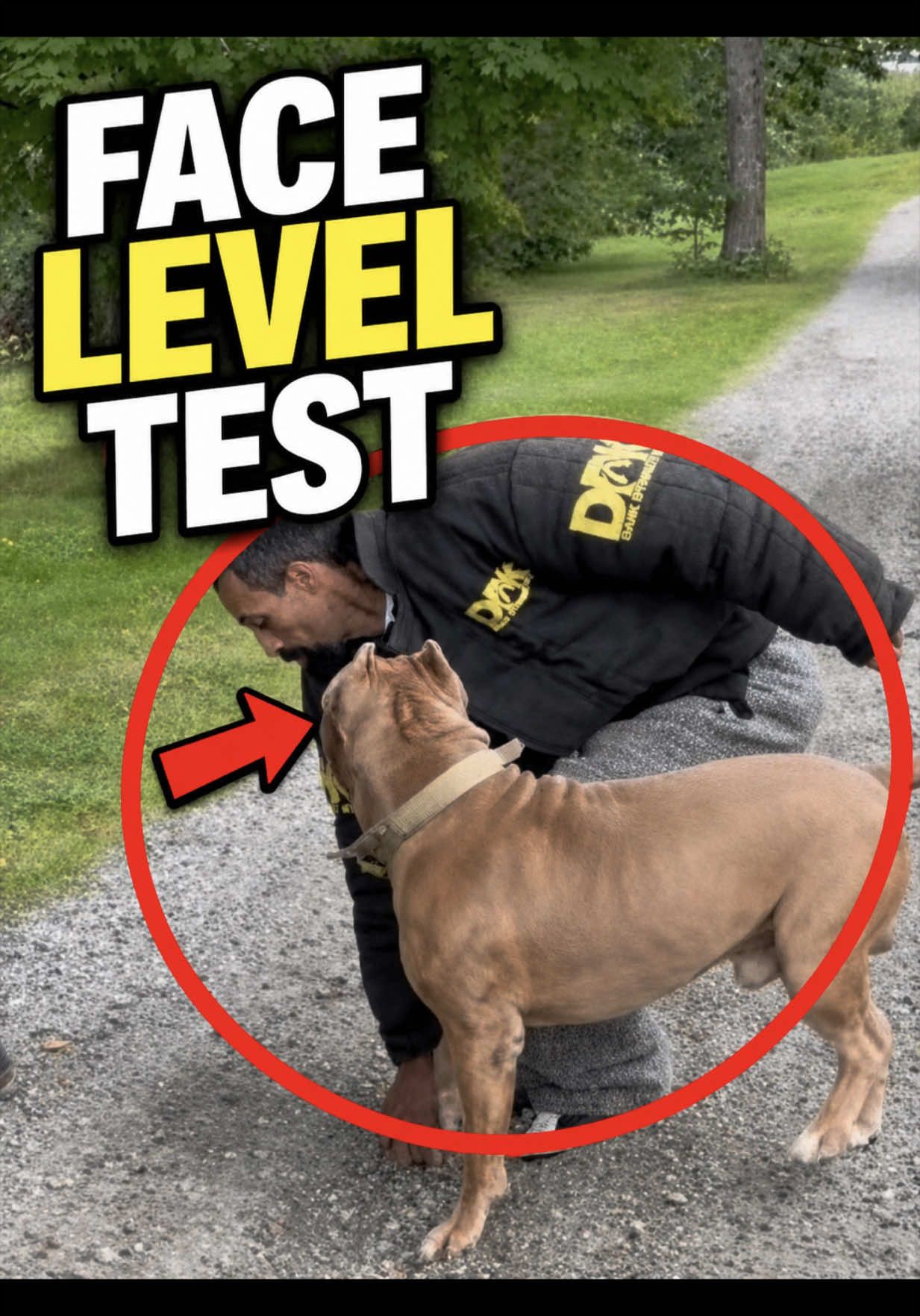 @DarkDynastyK9s