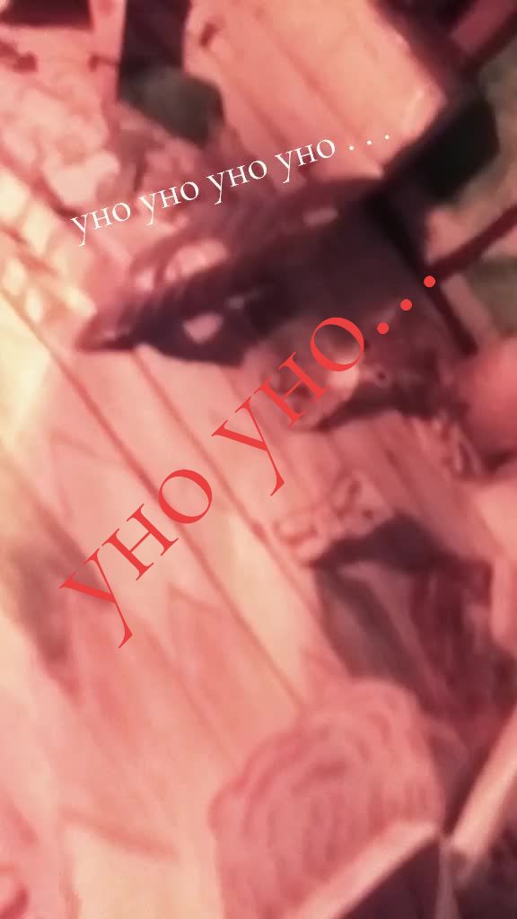 @🌿𝓨𝓾𝓴𝓲_𝓭𝓸𝓰🌿