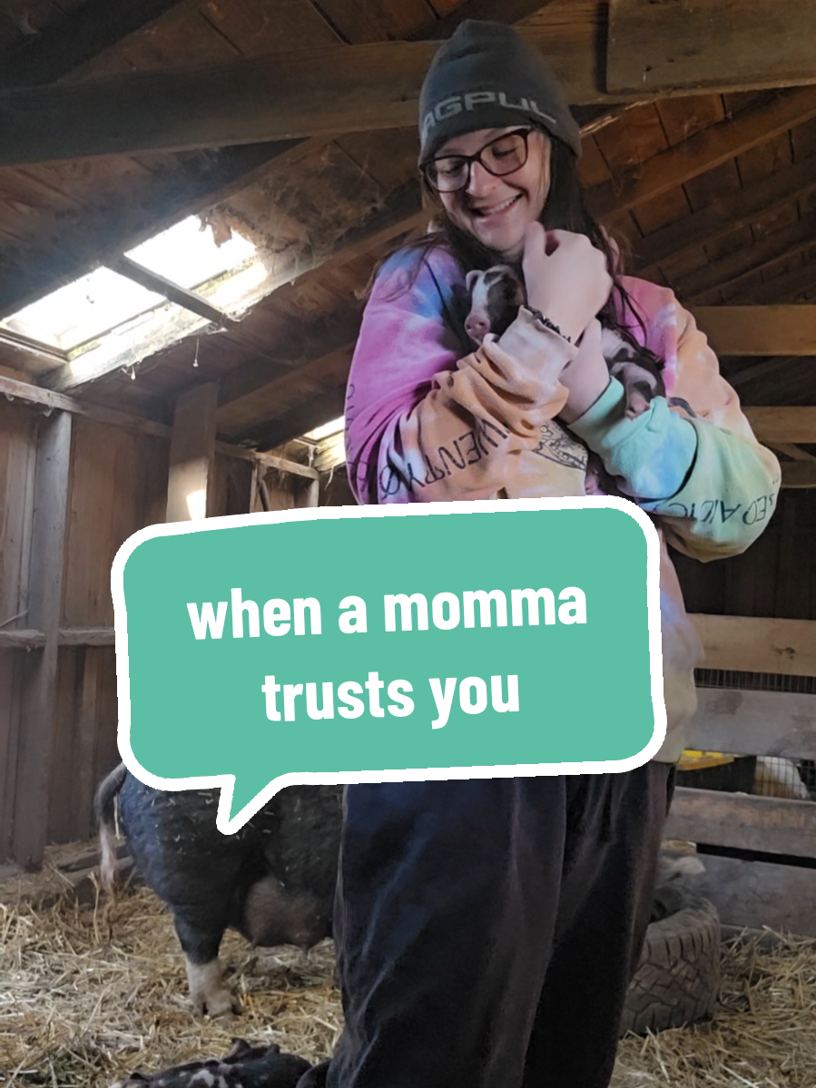 @Kayla | SageWind Farmstead