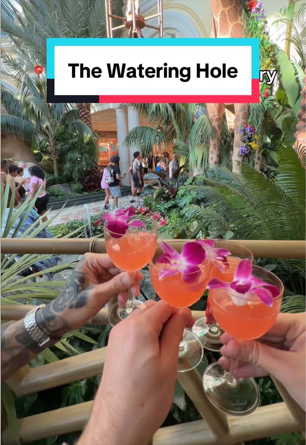 @Las Vegas