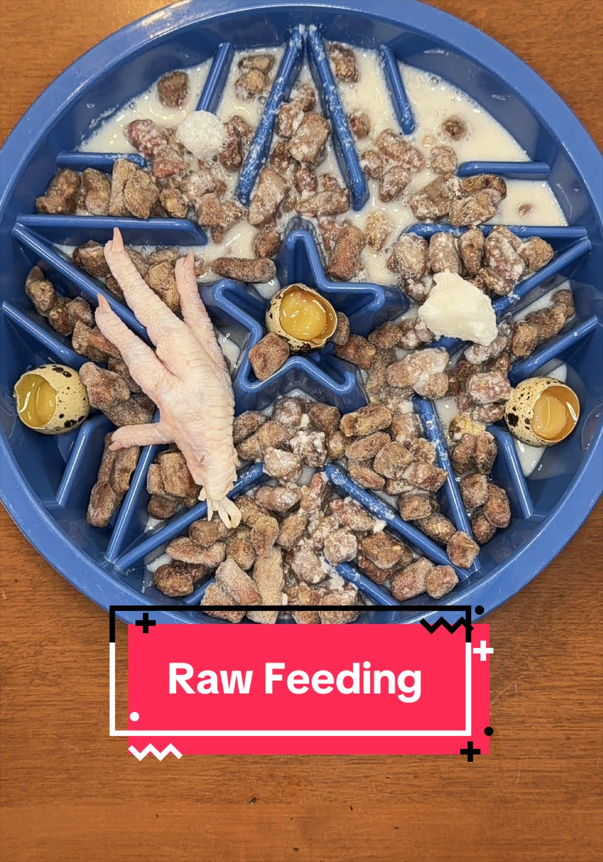@Kayla Kowalski Nutrition