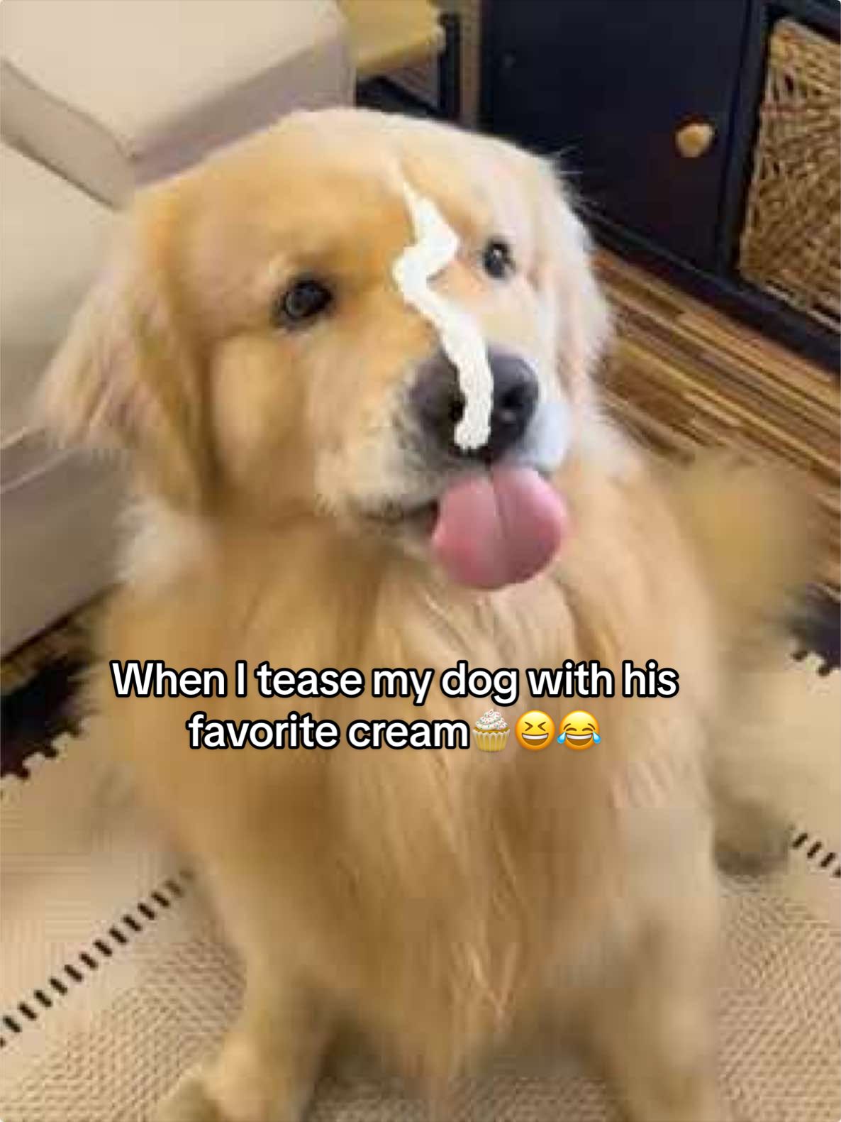 @Golden Fur Bender