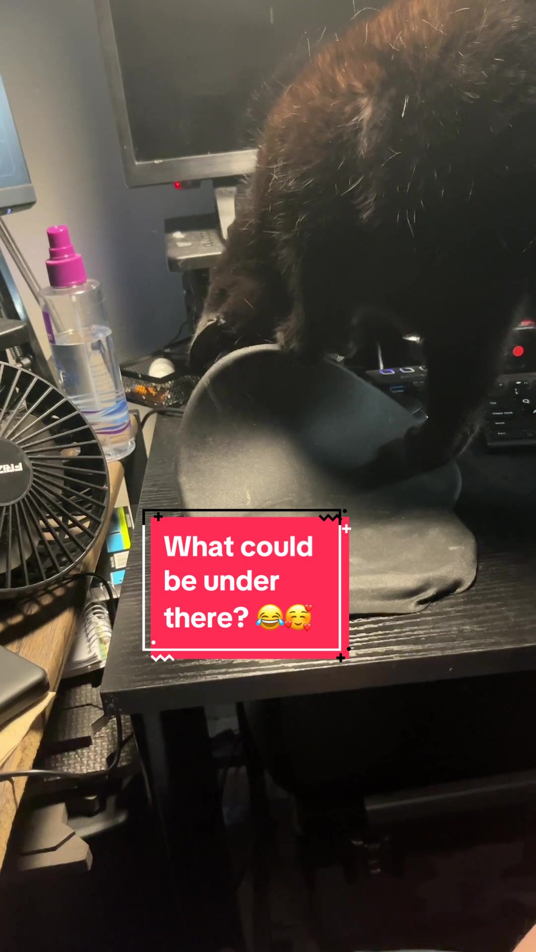 @Teaweaselstopmo