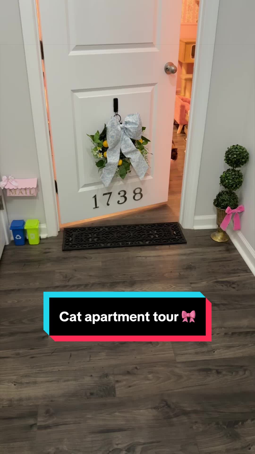 @Meredith Ragdoll Cat