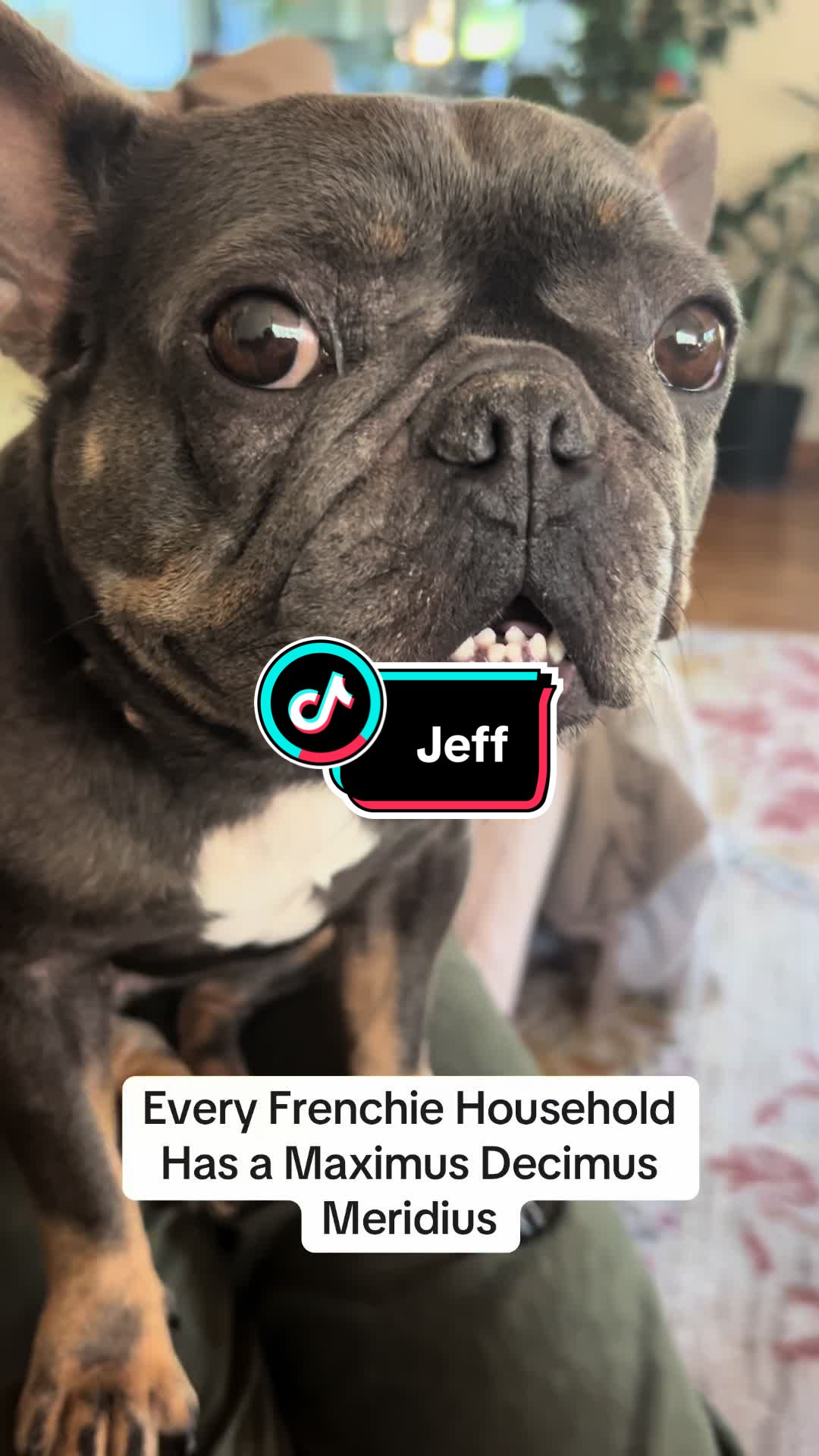 @Maki&ensp;the&ensp;Frenchie