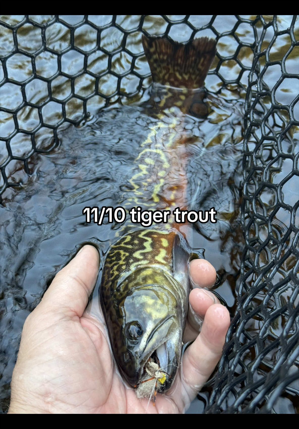 @FlyFishDelawhere