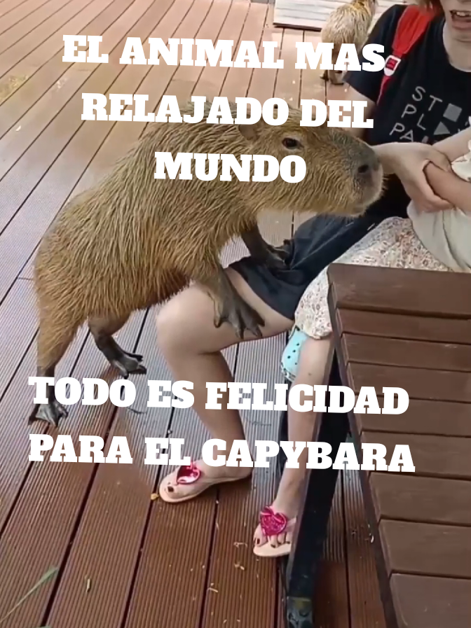 @TODO BLU 979