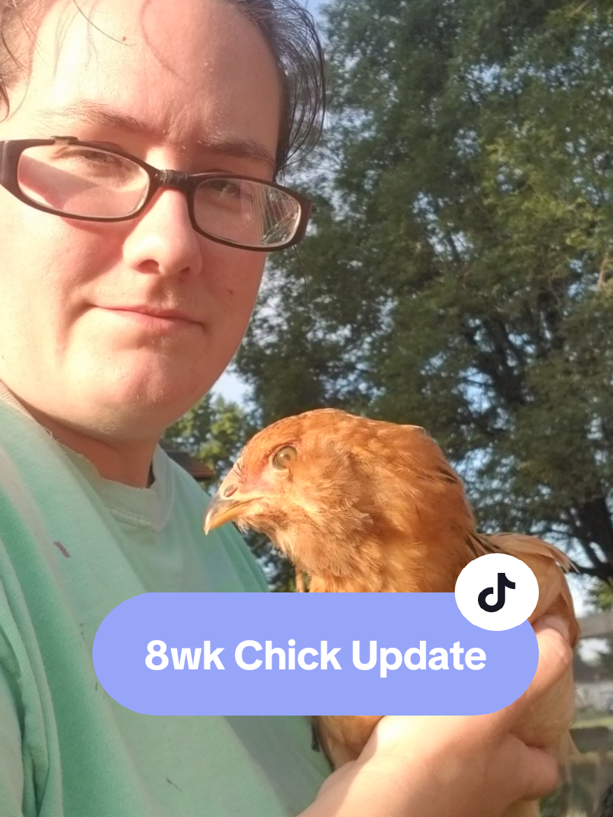 @CityChickenFarm