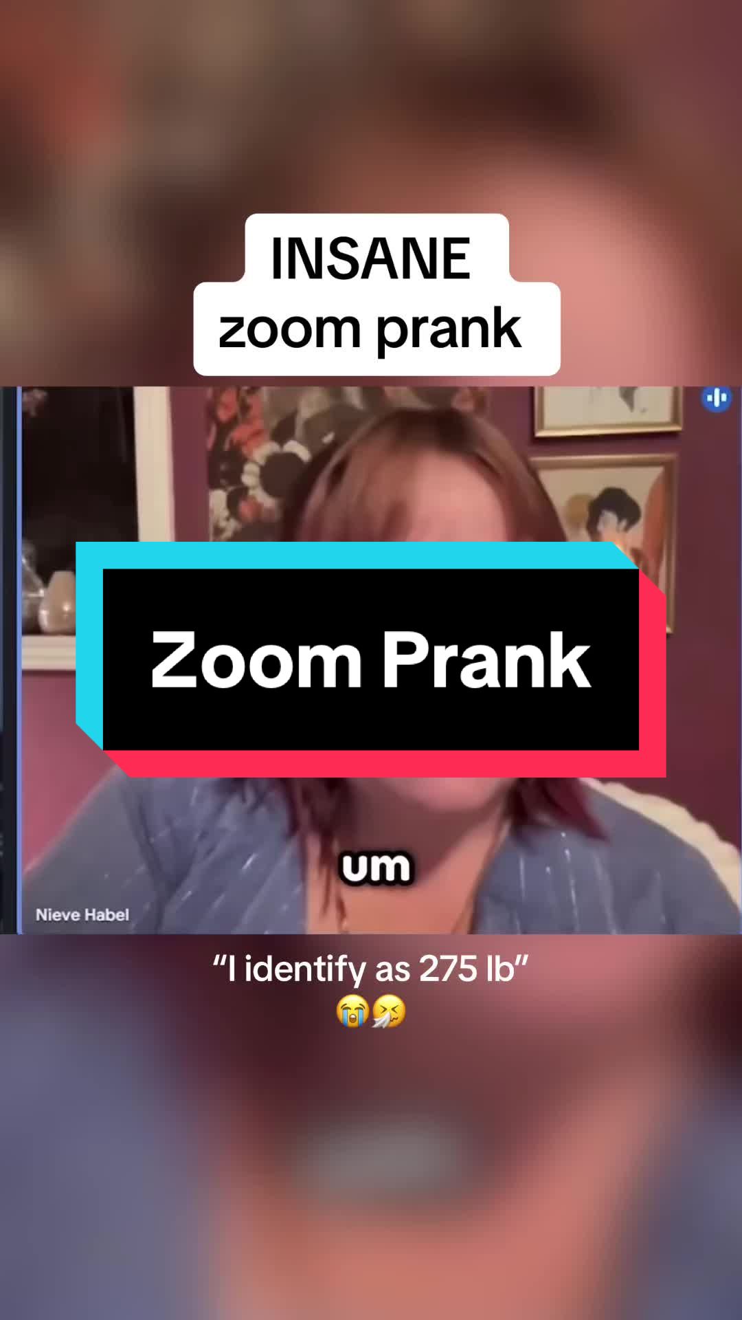 @prankclips.co