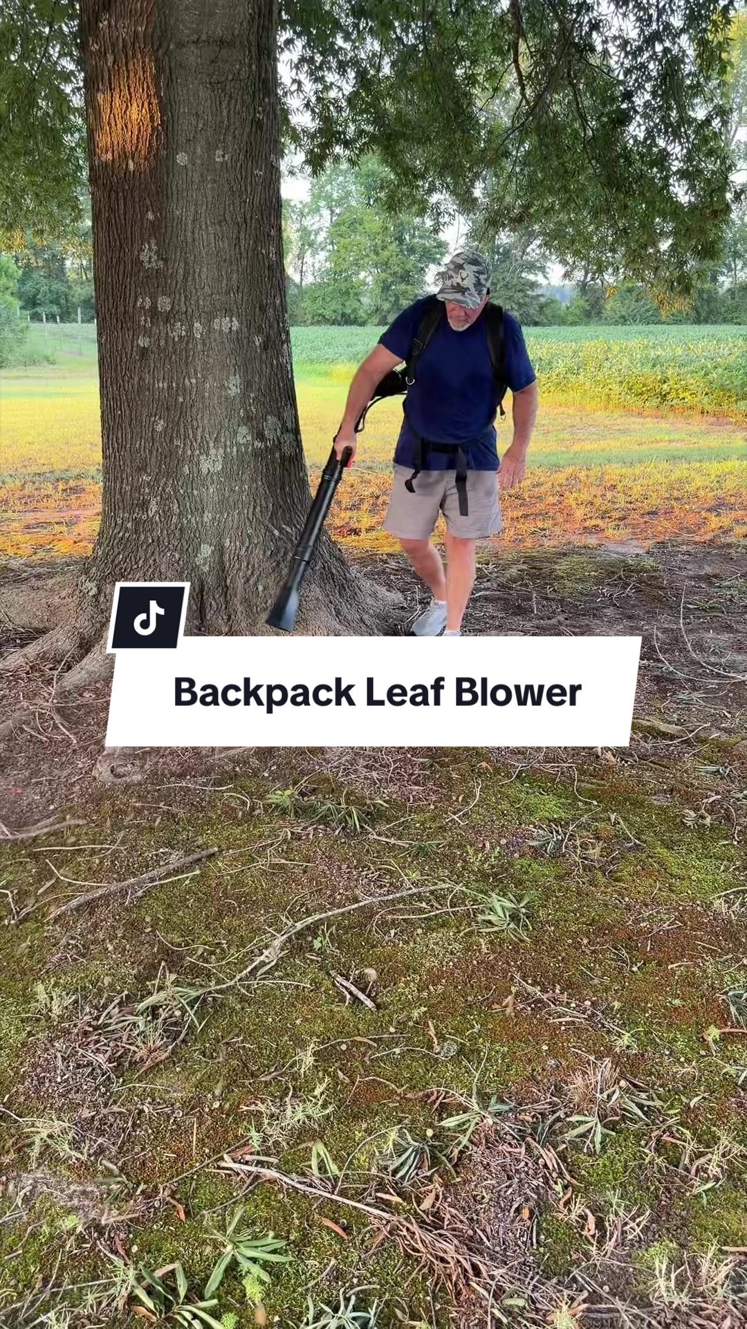 @little_mike_1
