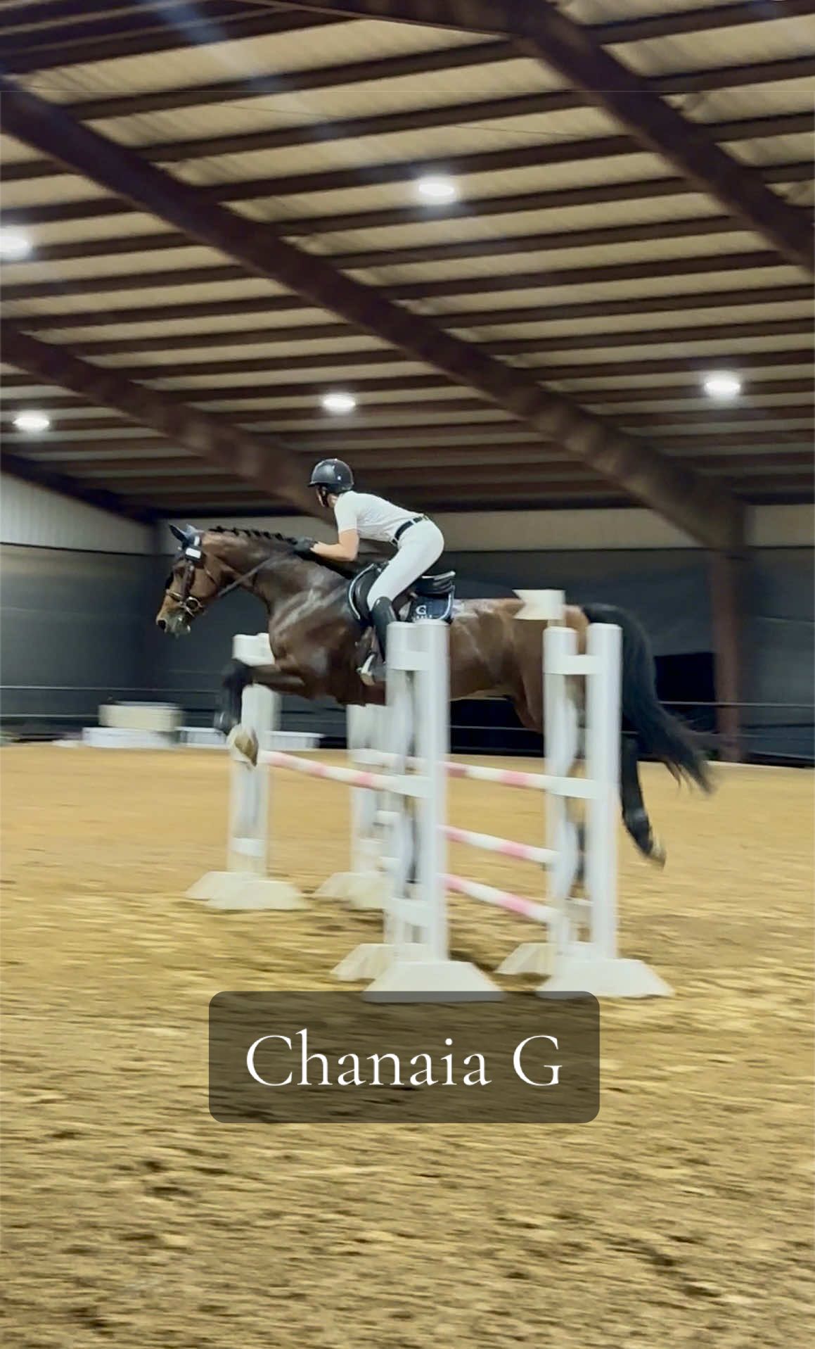 @Grace Equestrian TX