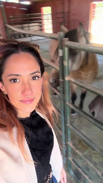 @Chelsea.santos.realtor