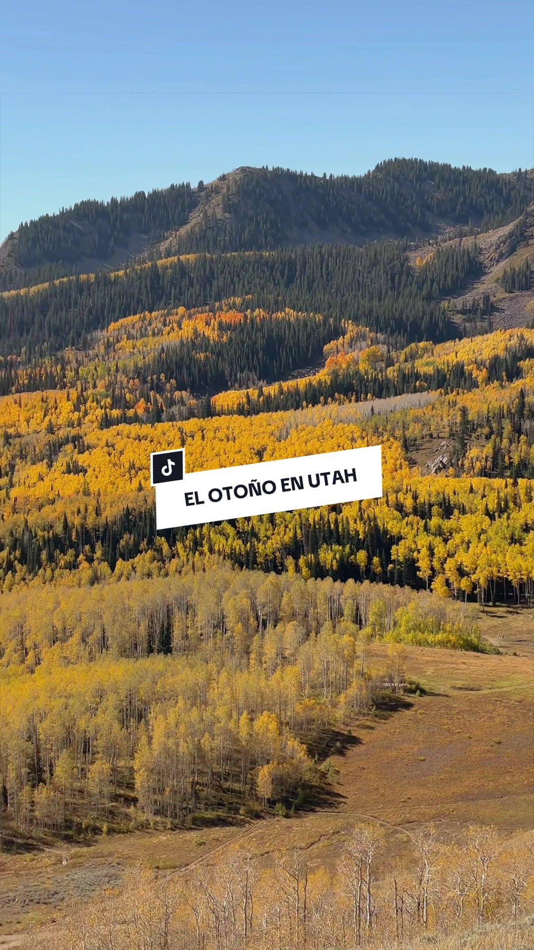 @Jely | Utah Creator