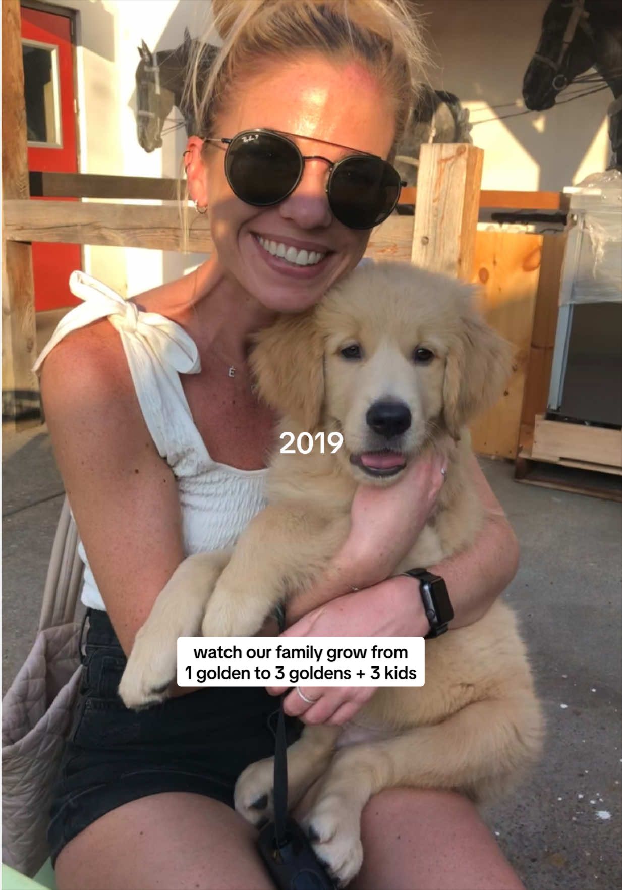 @agoldendogmom
