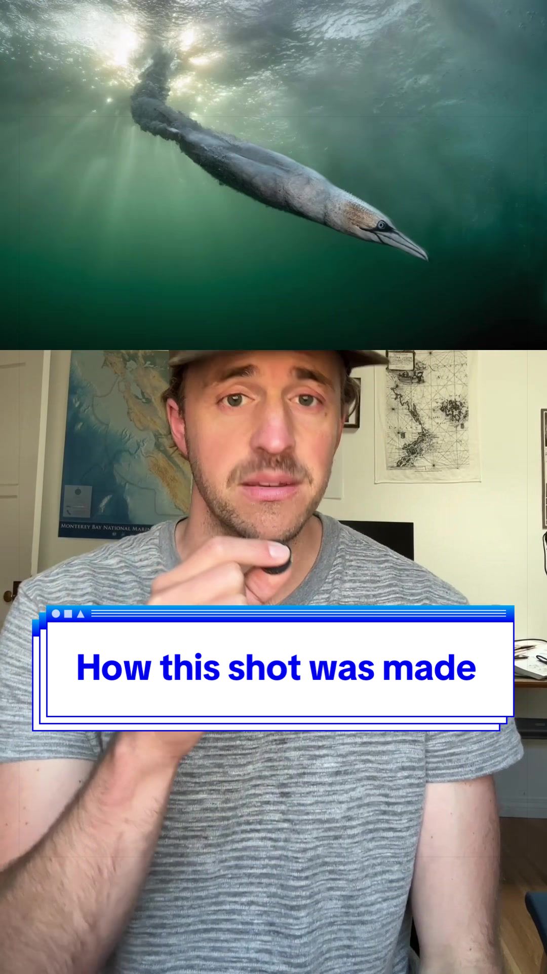 @Nature is Surreal