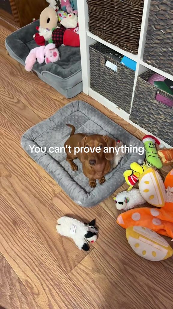 @Sarah and the Peanuts