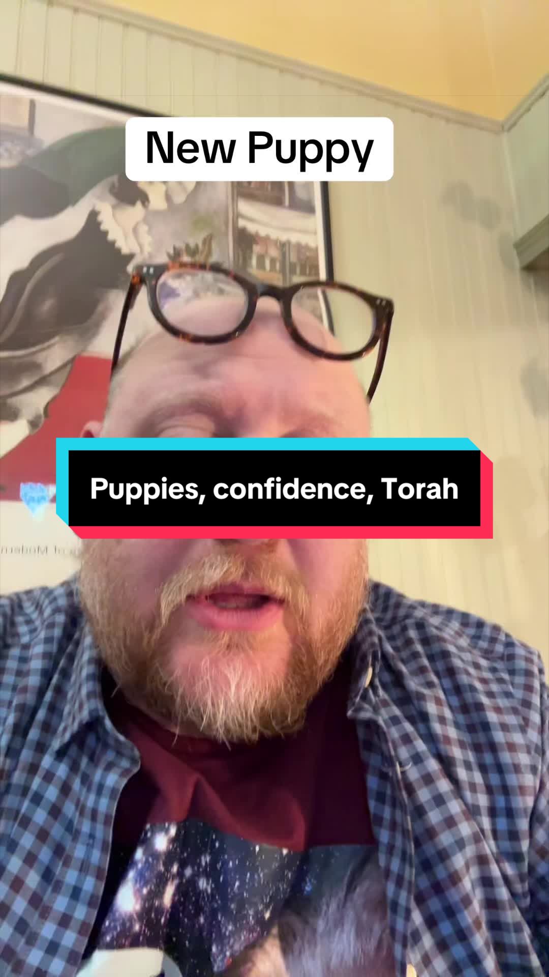 @Rabbi Seth Goldstein