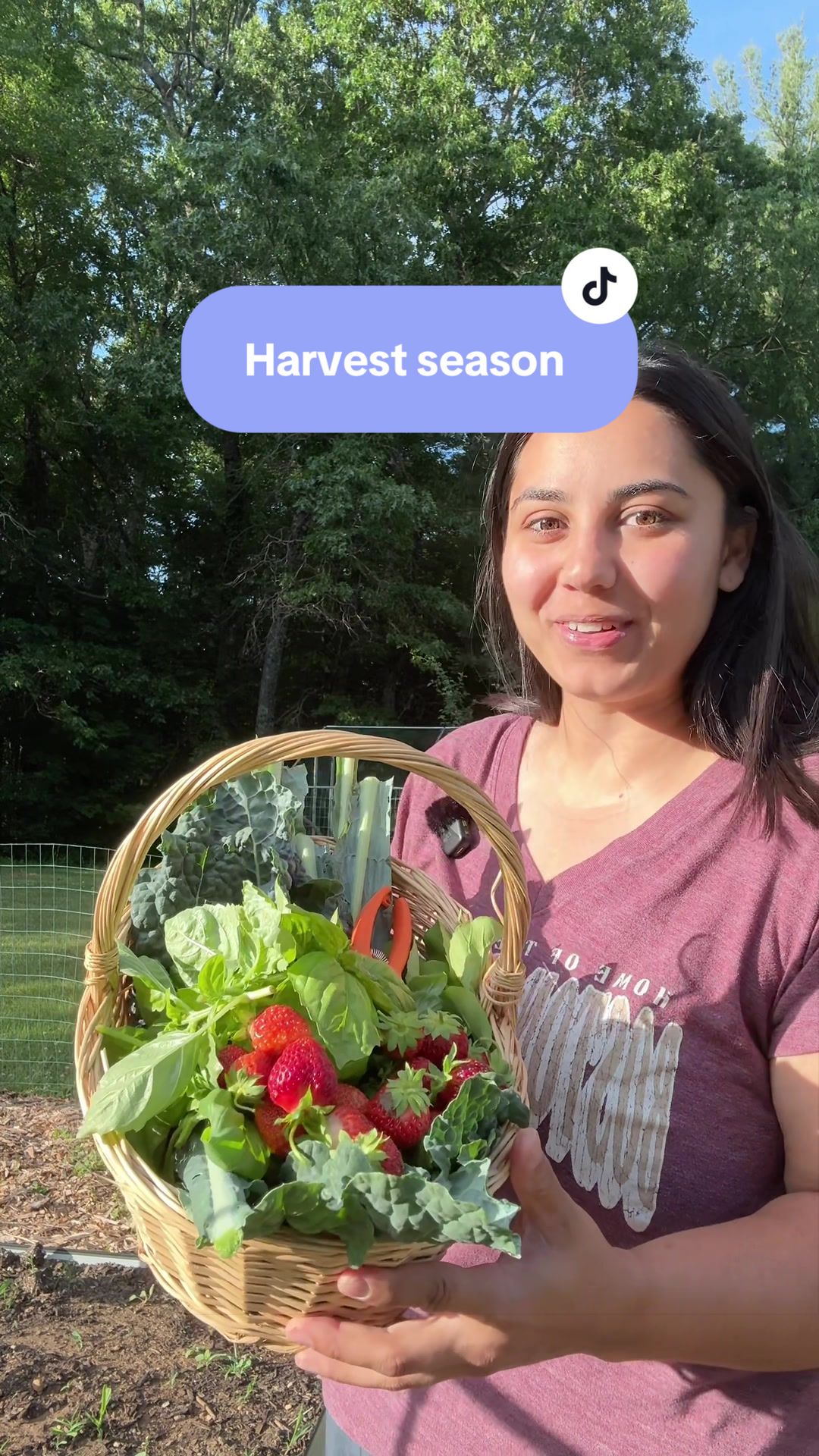 @Manica | zone 6a gardener