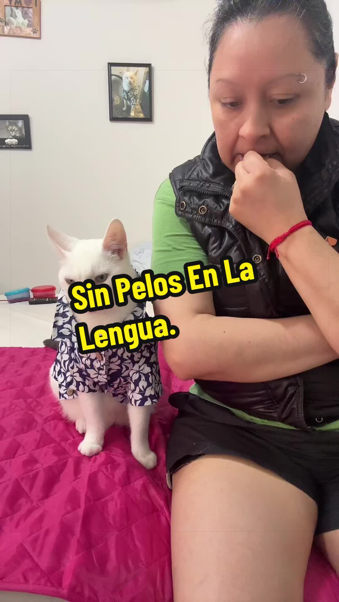 @🦖 MEOWassic CAT😺