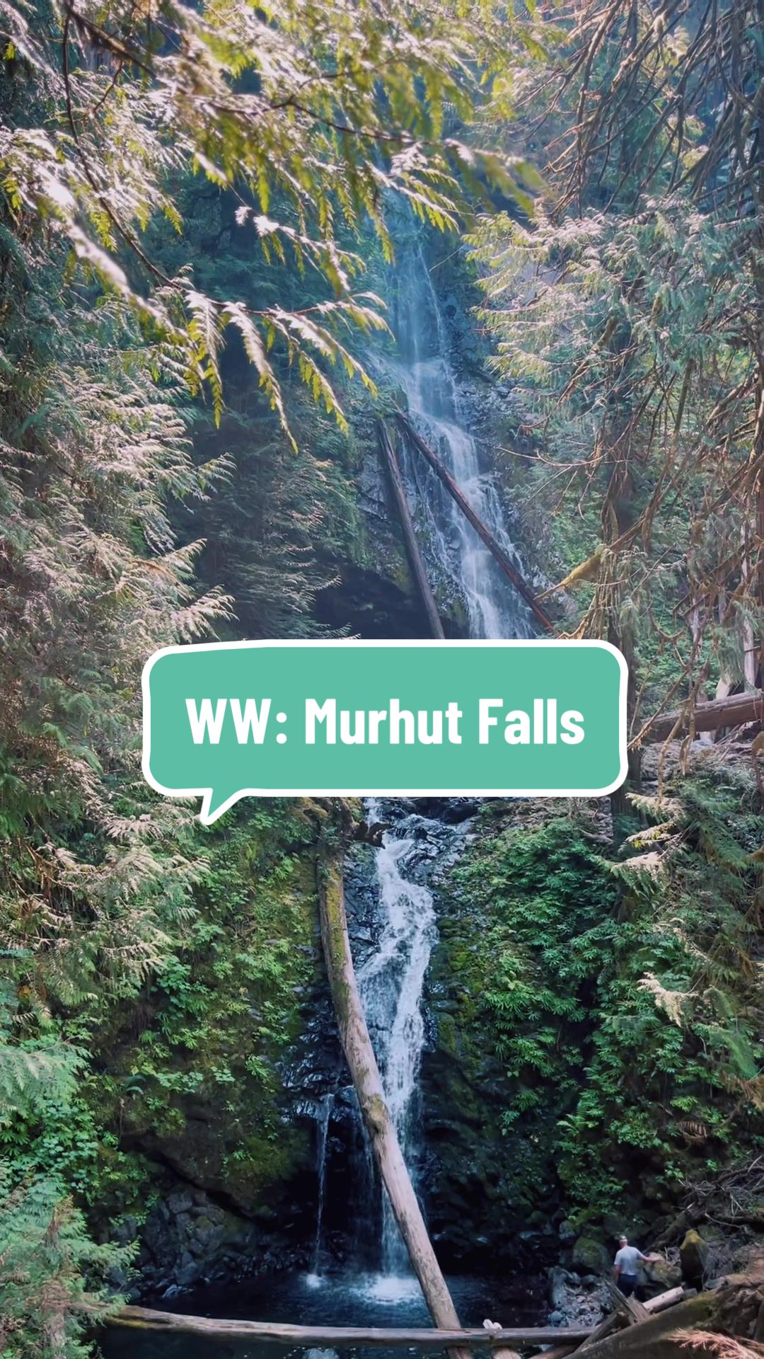 @Pacific.NW.Megan
