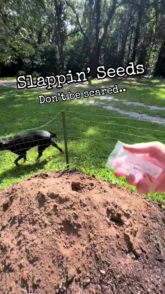 @𝔽𝕒𝕣𝕞 𝔹𝕠𝕪 𝕁𝕒𝕞𝕖𝕤