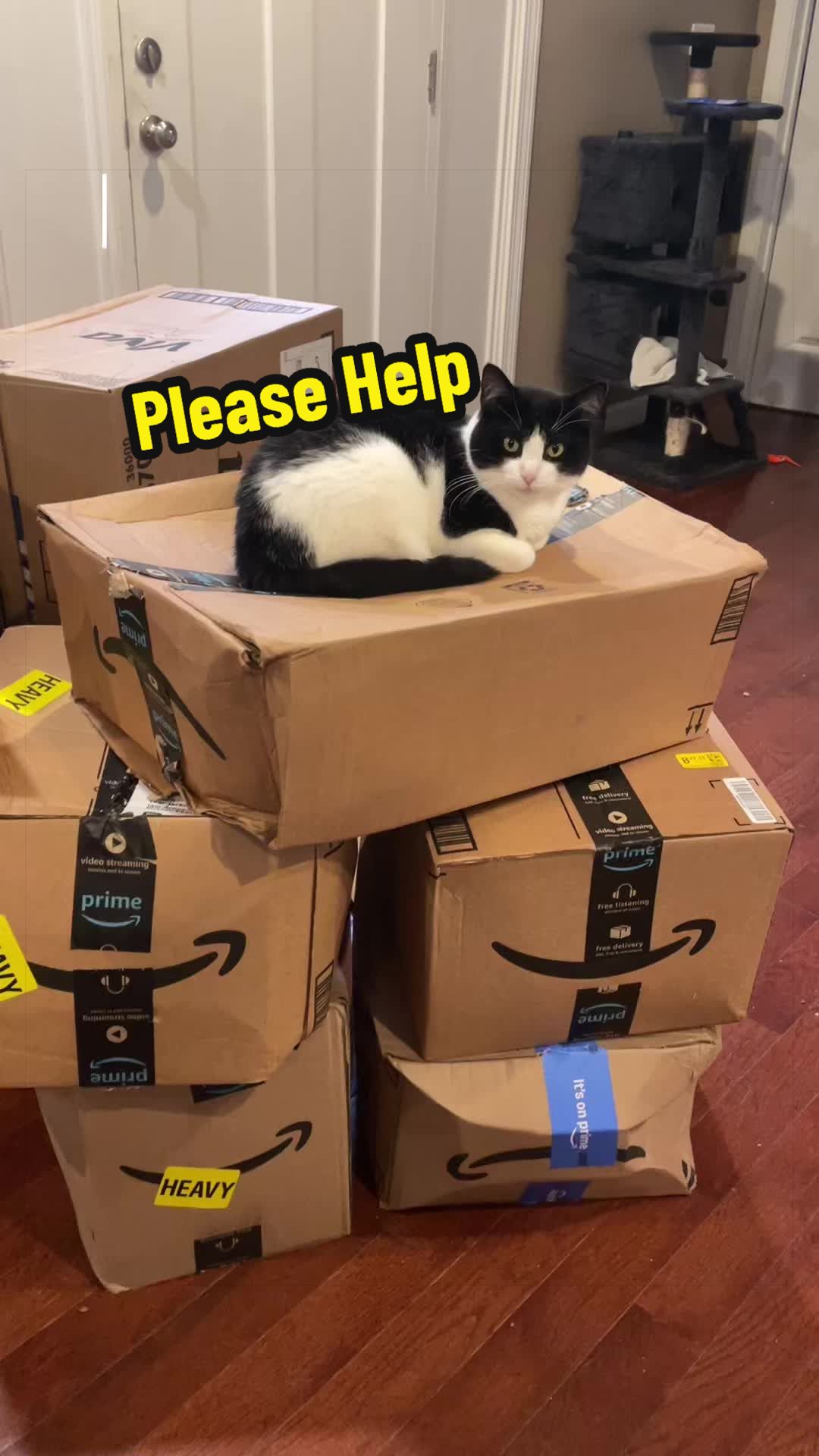 @Are We Home Yet? Cat Sanctuary