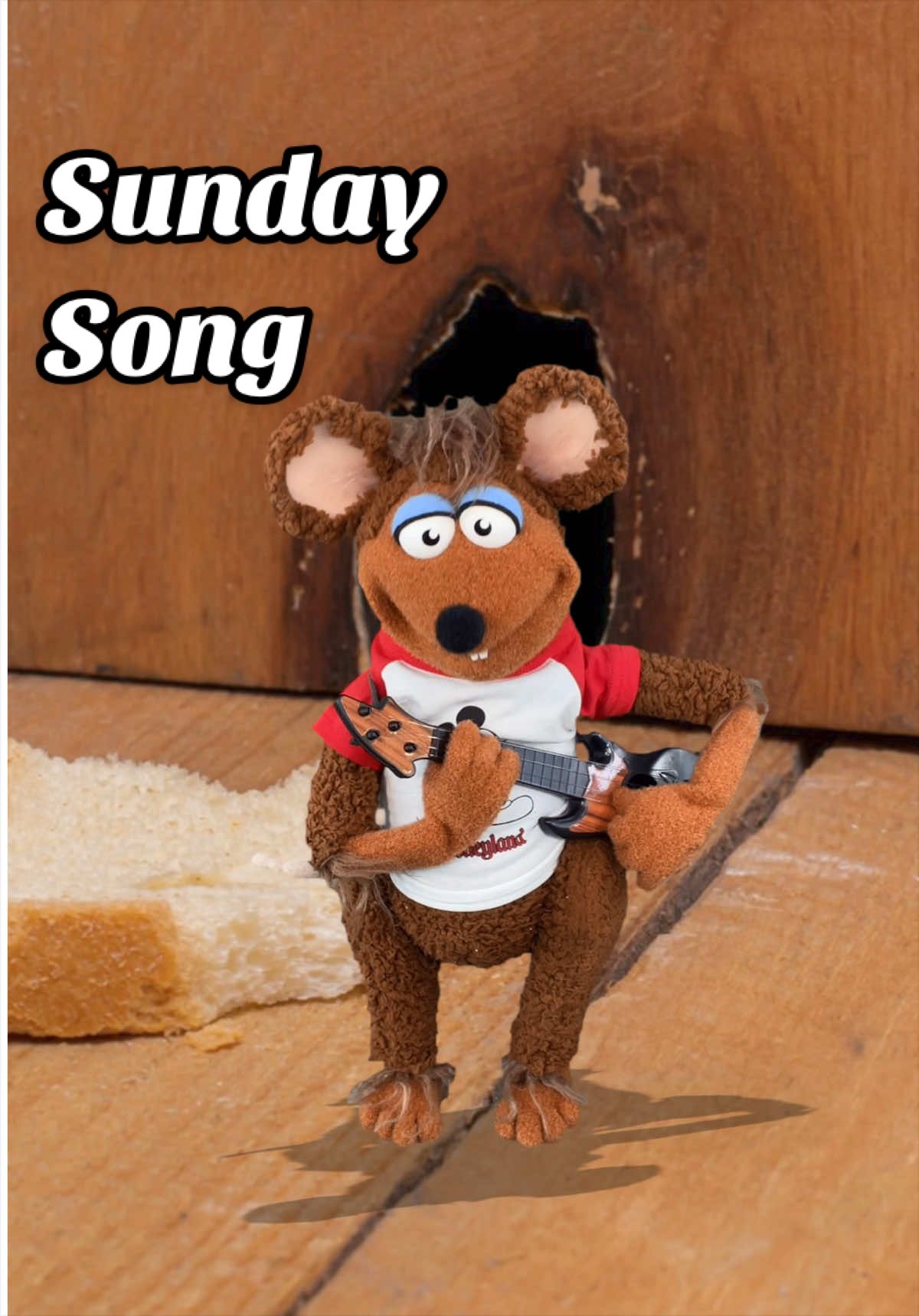 @WhoNeedsPuppets