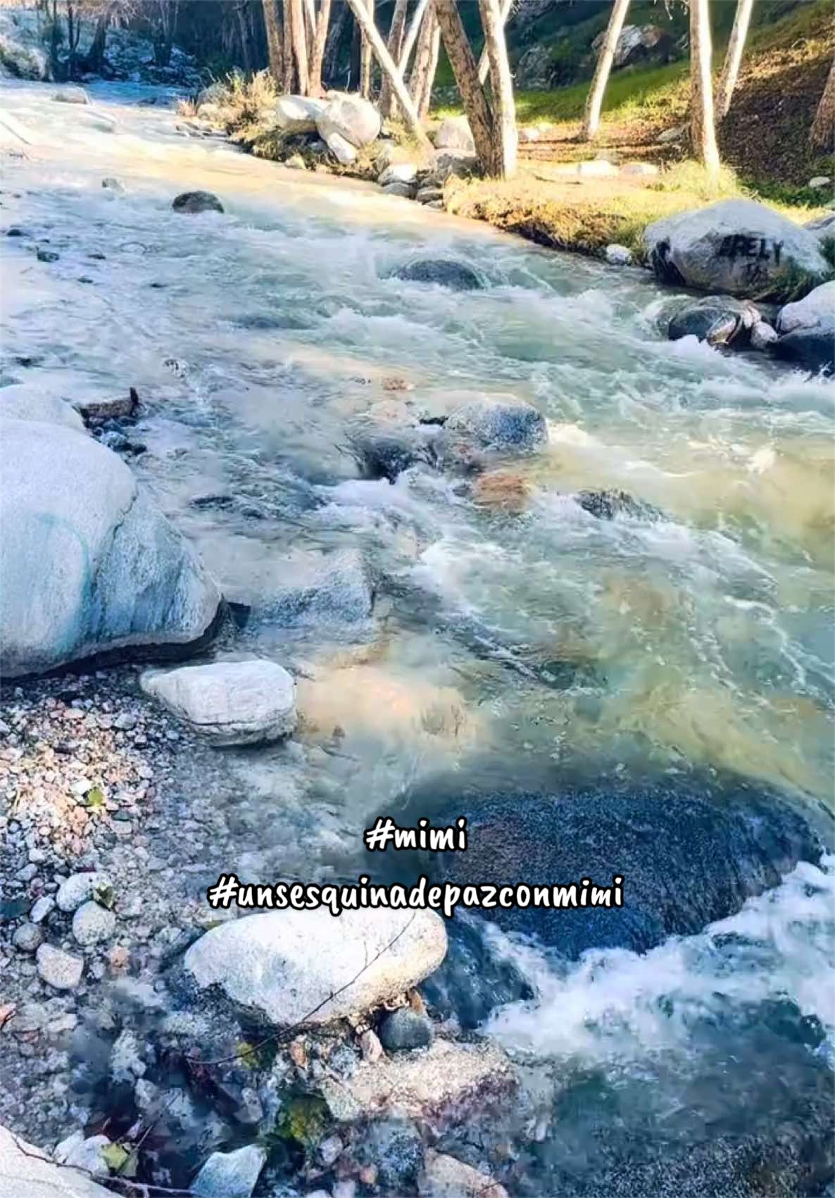 @Mimi🌹