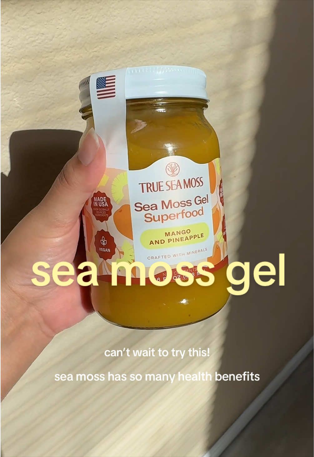 @Ash | UGC +Tiktok Shop Creator