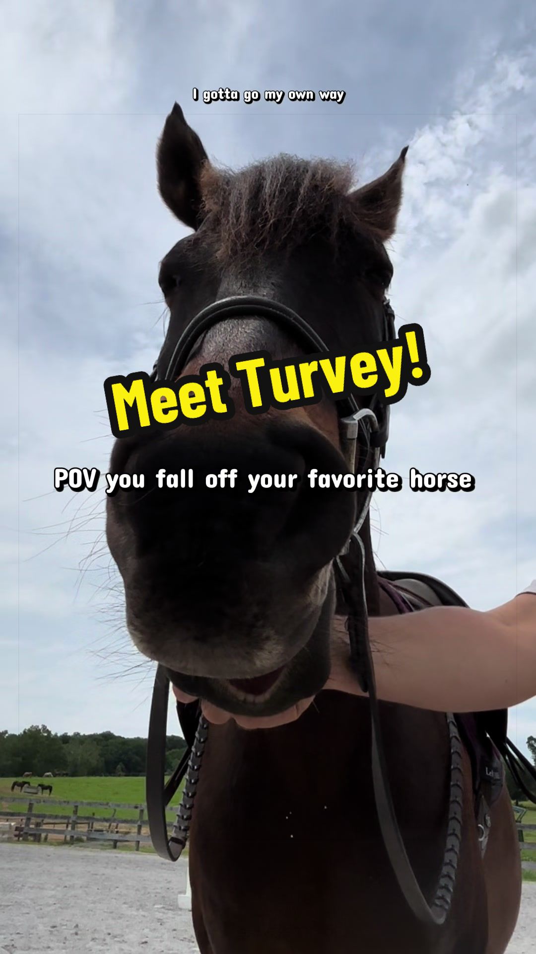 @Days End Farm Horse Rescue
