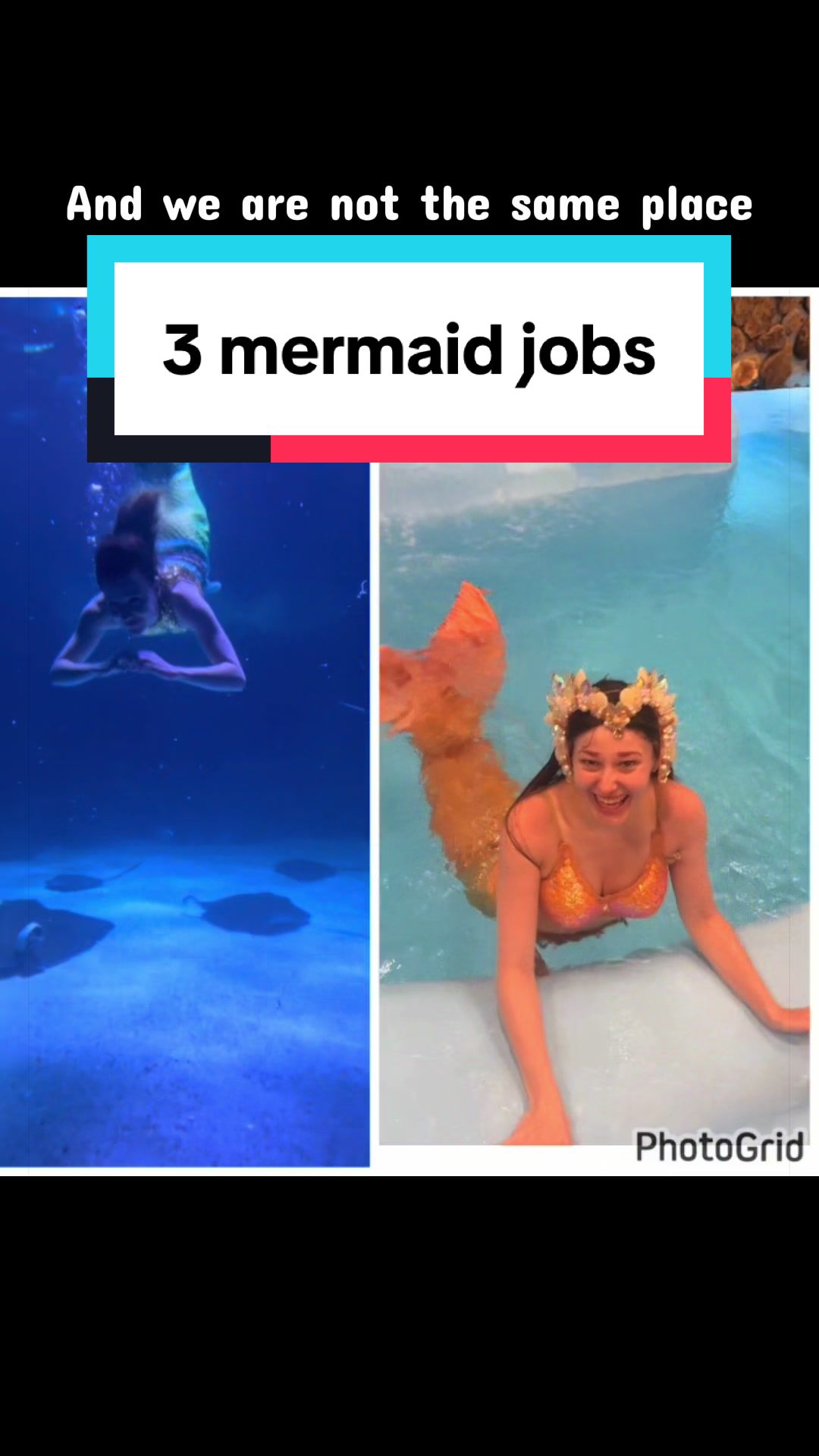 @HaleyMermaid