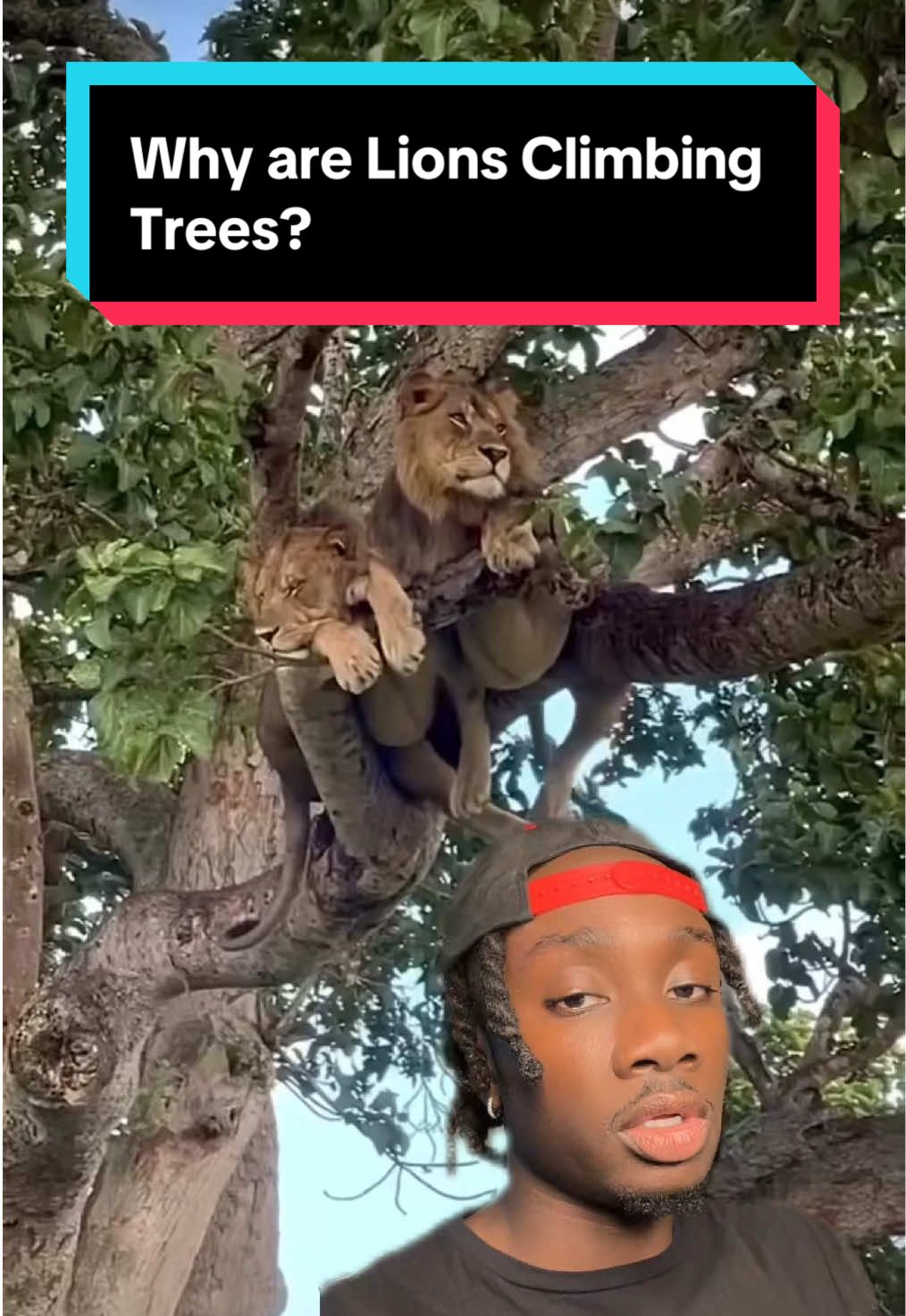 @mndiaye_97