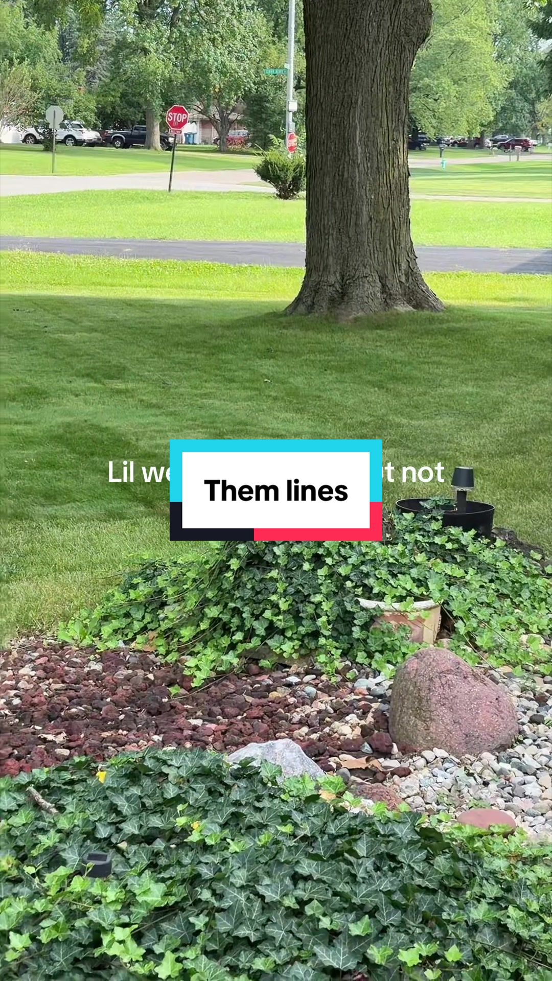 @JD