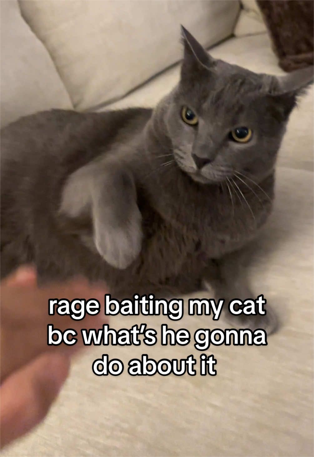 @REYNA