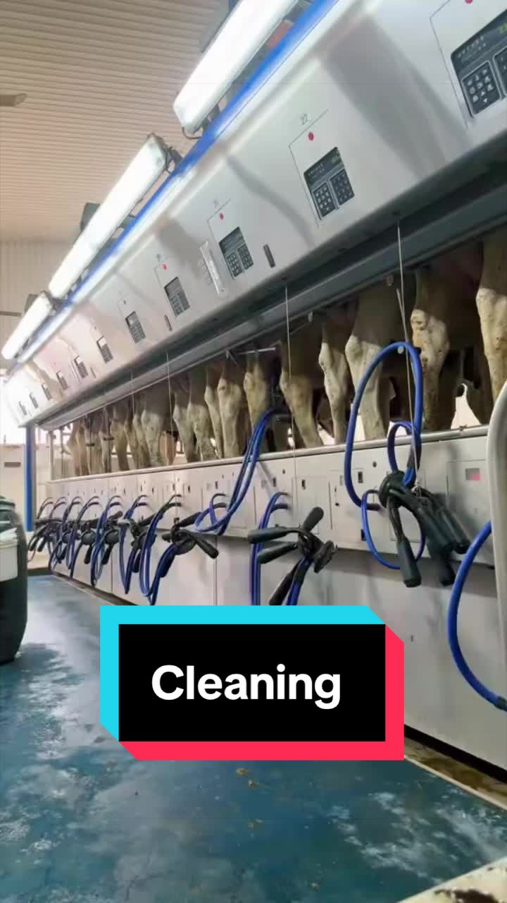 @Dairy Vet Dr. Michelle