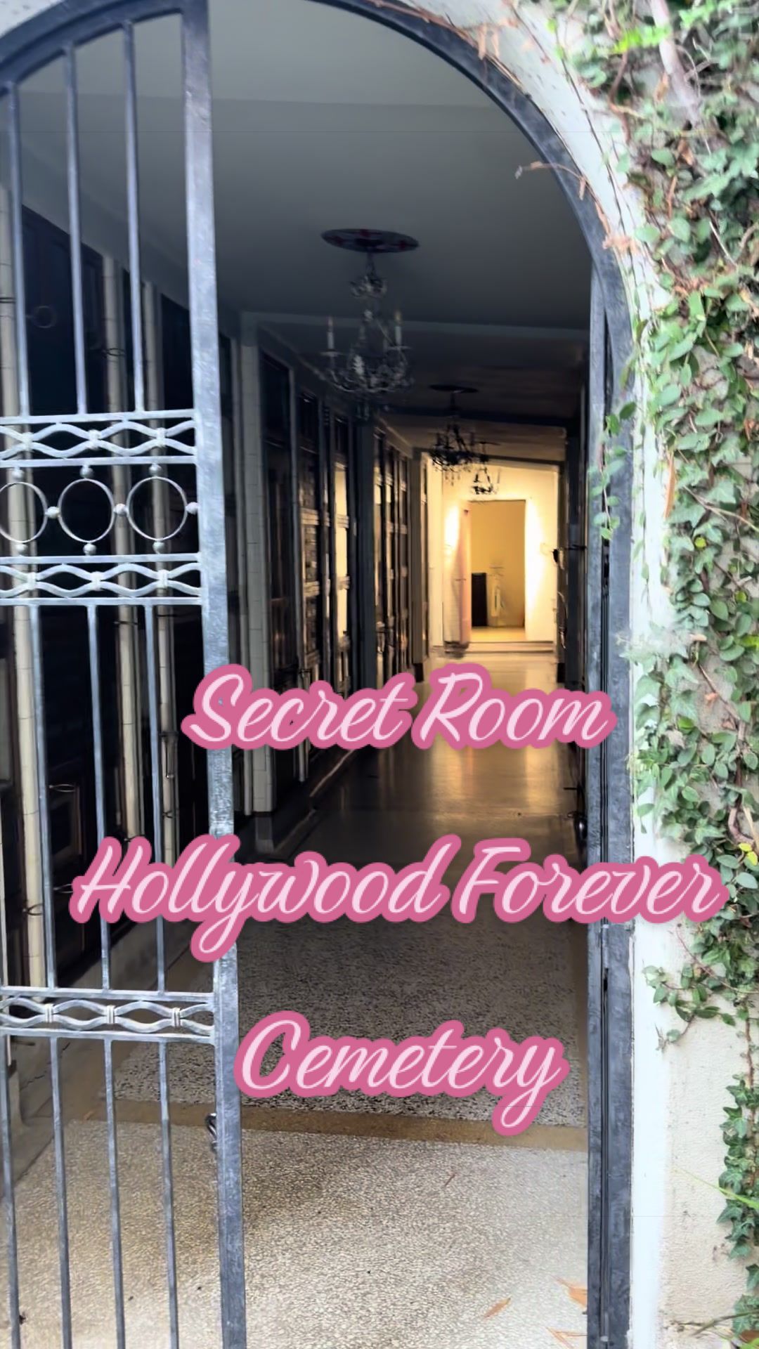 @The Morbid Traveler’s Wife👻💕