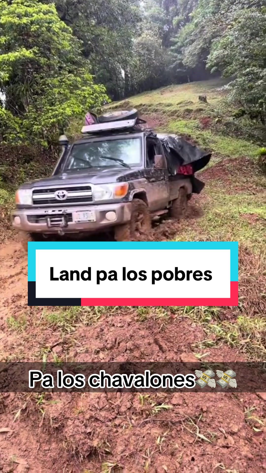 @Mar Boss Farmer