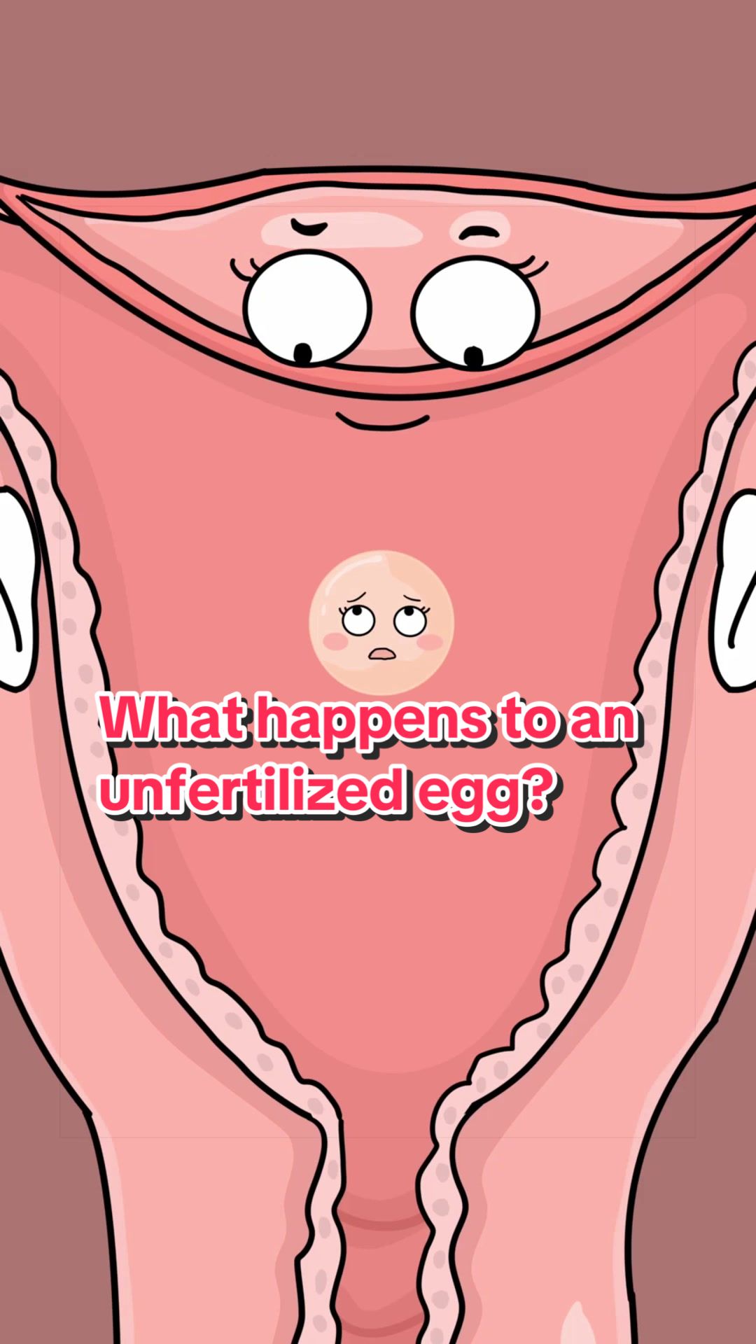 @Funny Animations