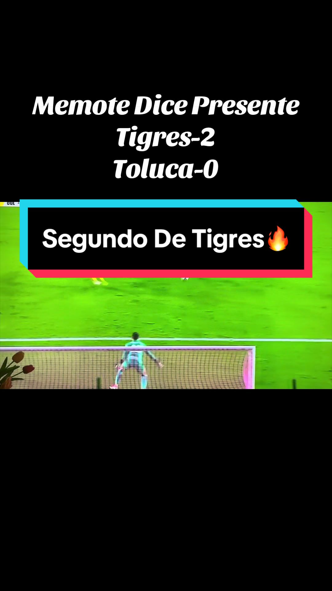 @elbuenavida58