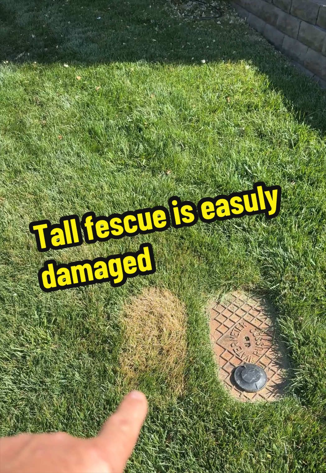 @Lawn Answers