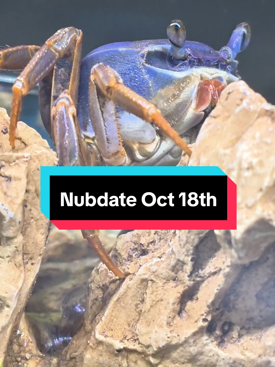 @Howie The Crab