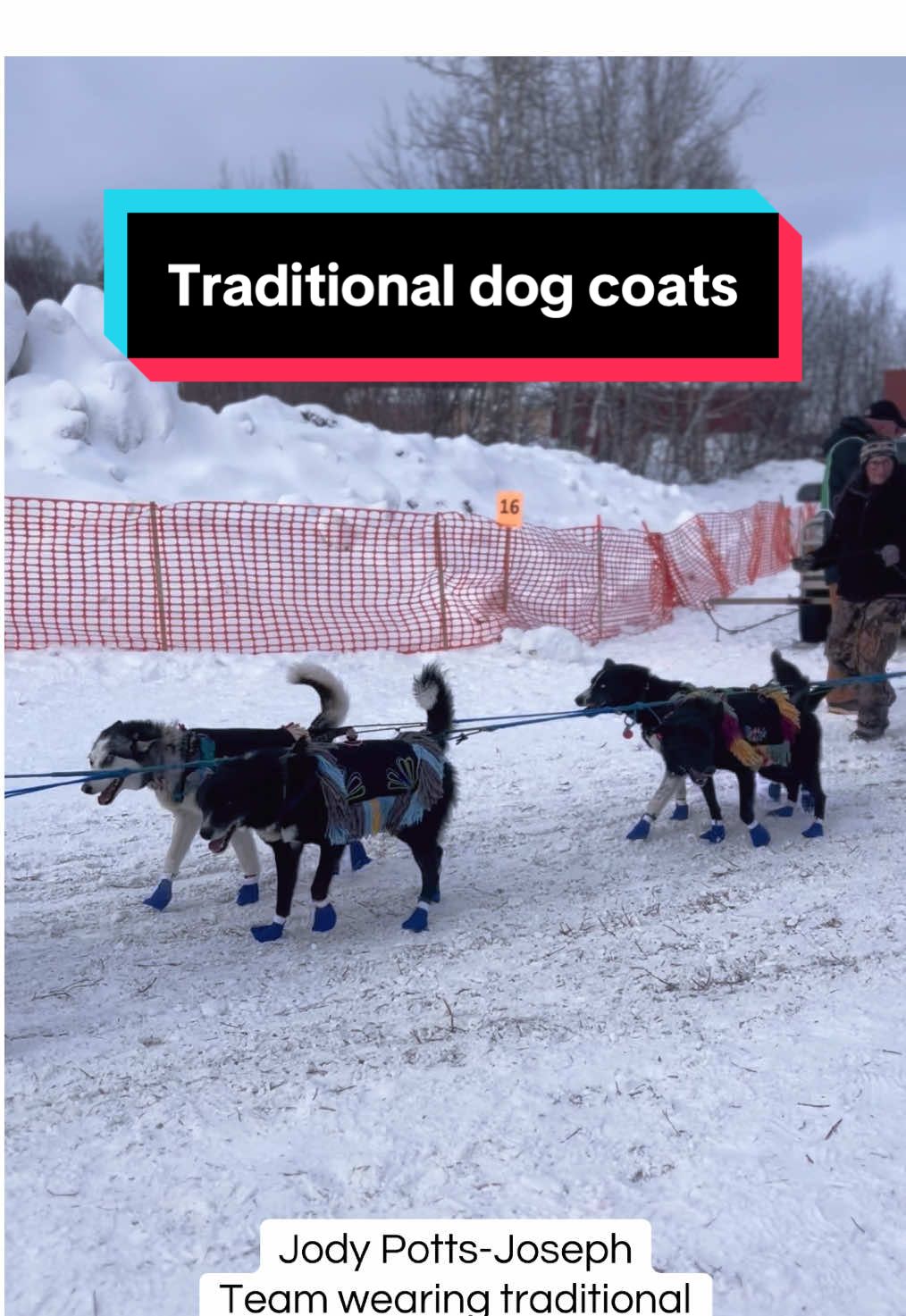 @Glacier Musher