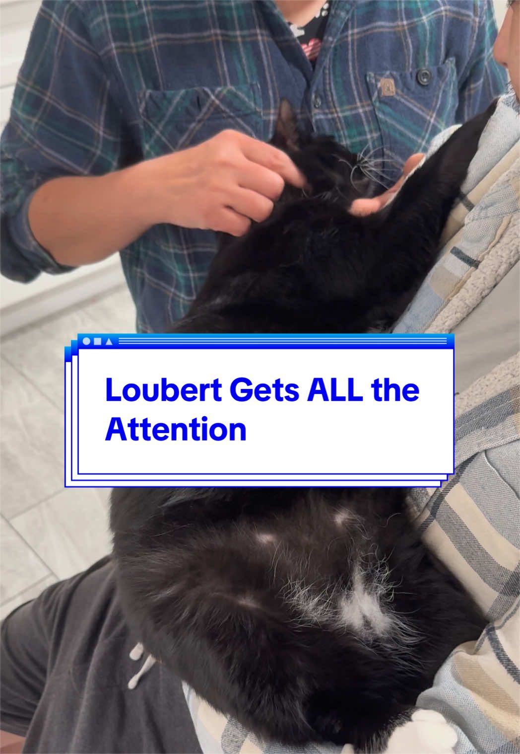 @loubert_the_cat