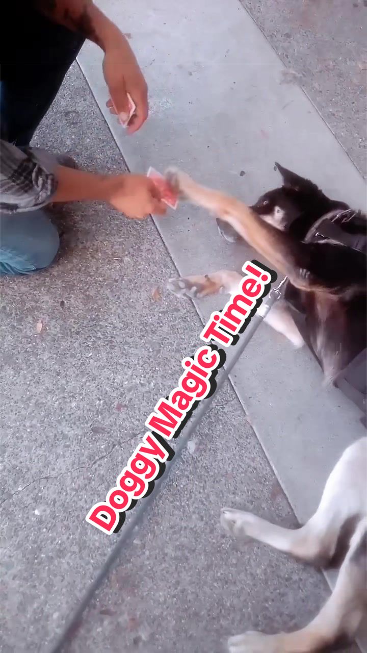 @ChrisJamesMagic