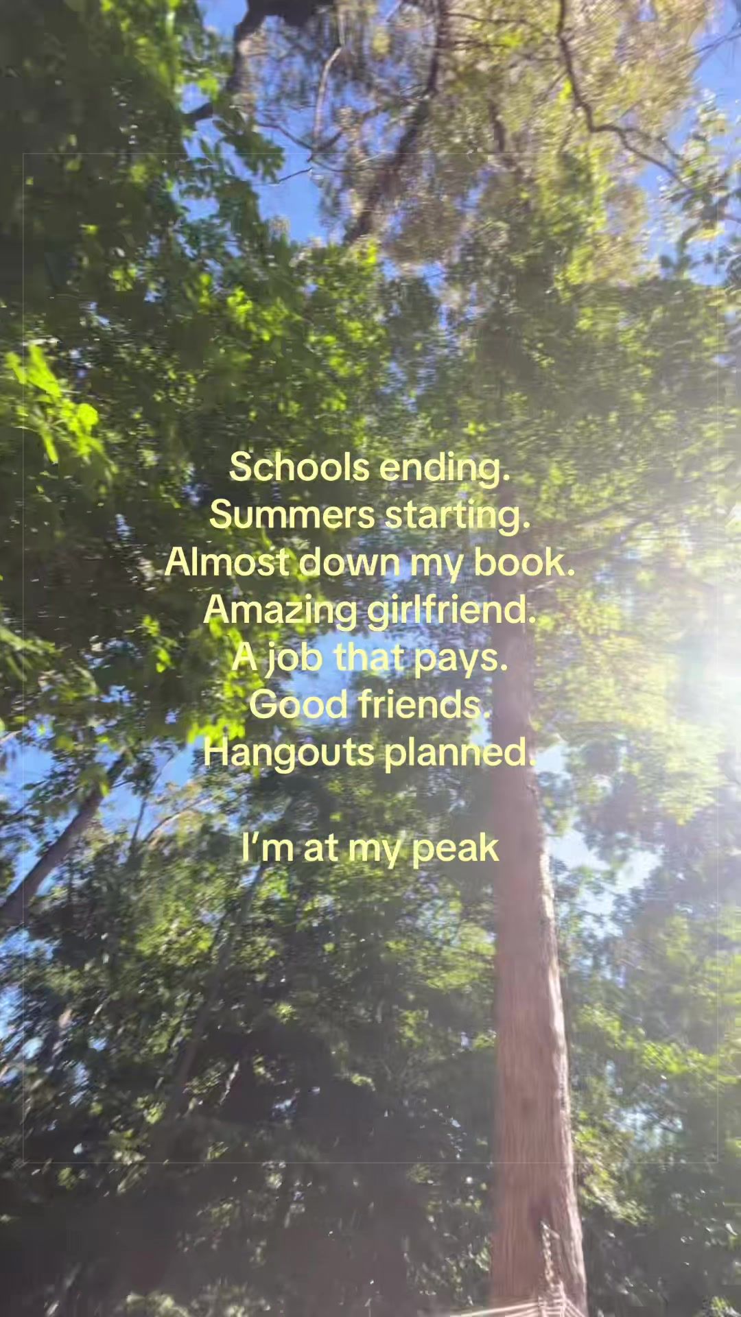 @🌲💐🫐
