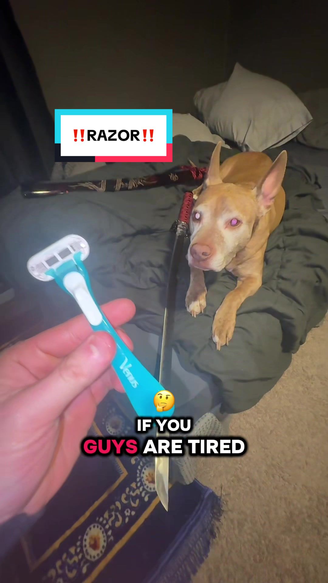 @generalshaoooo